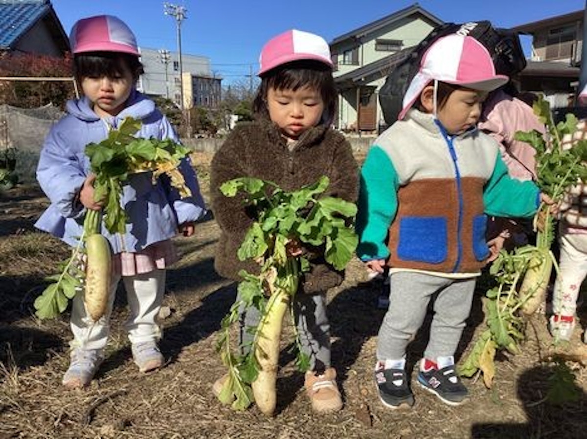 大根掘り1歳児.jpg
