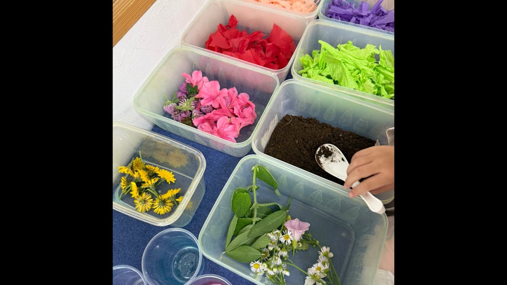 生きる力を育てる、五感をフルに使う体験を楽しめる保育園。