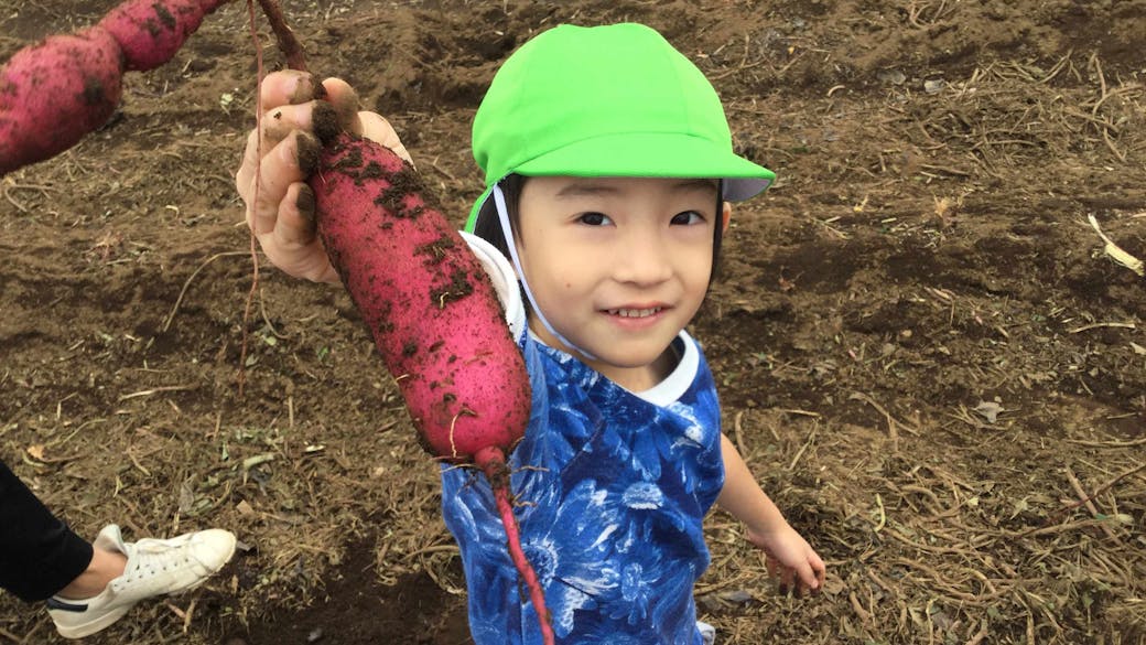 季節の味覚狩り（芋掘り）