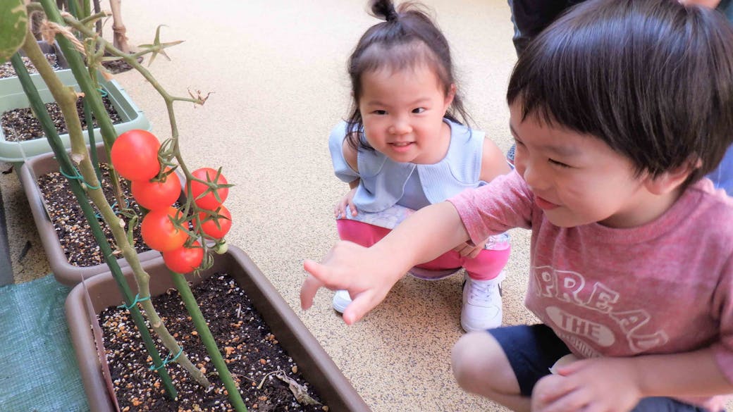 自分で考えて行動する子ども