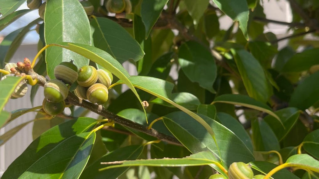 季節を感じる空間で