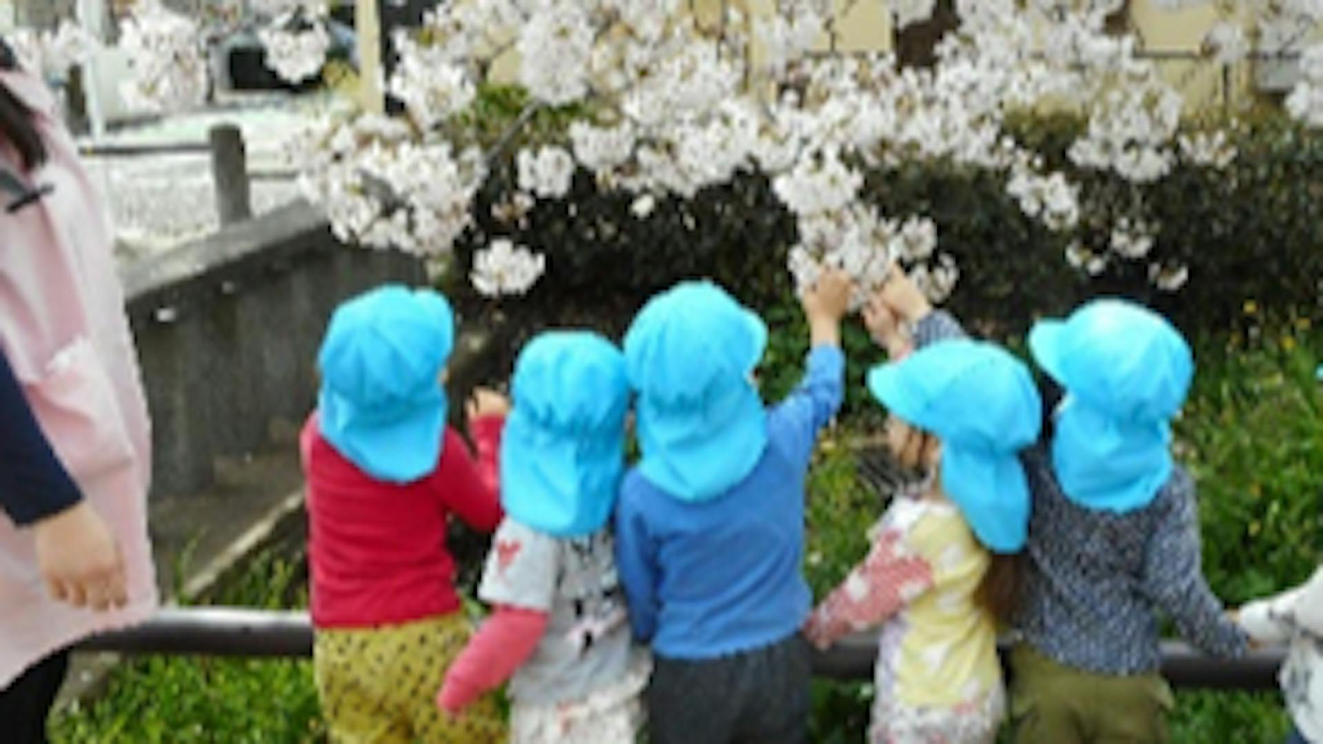 「温かく優しい保育」を皆で大切にする、保育士が運営する保育園