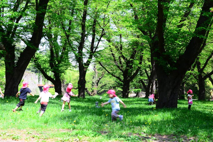 周囲には自然もたくさん！　岡本静嘉堂緑地が近くにあります！