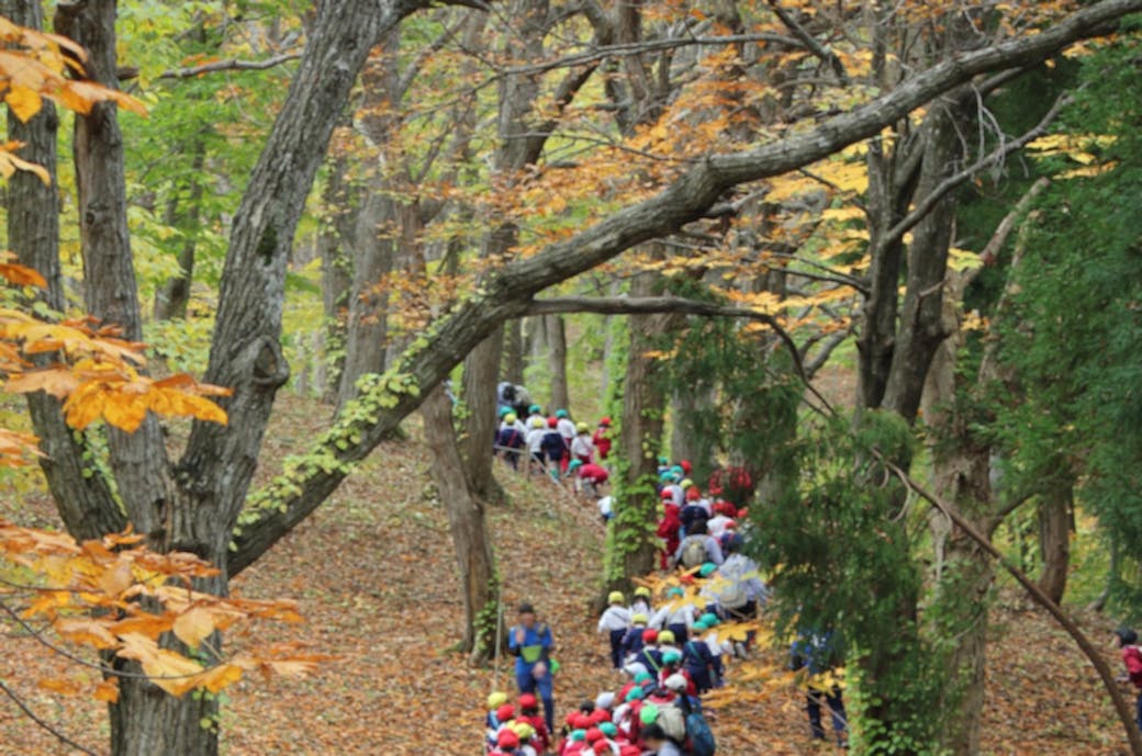 年間を通じてのイベントがたくさん