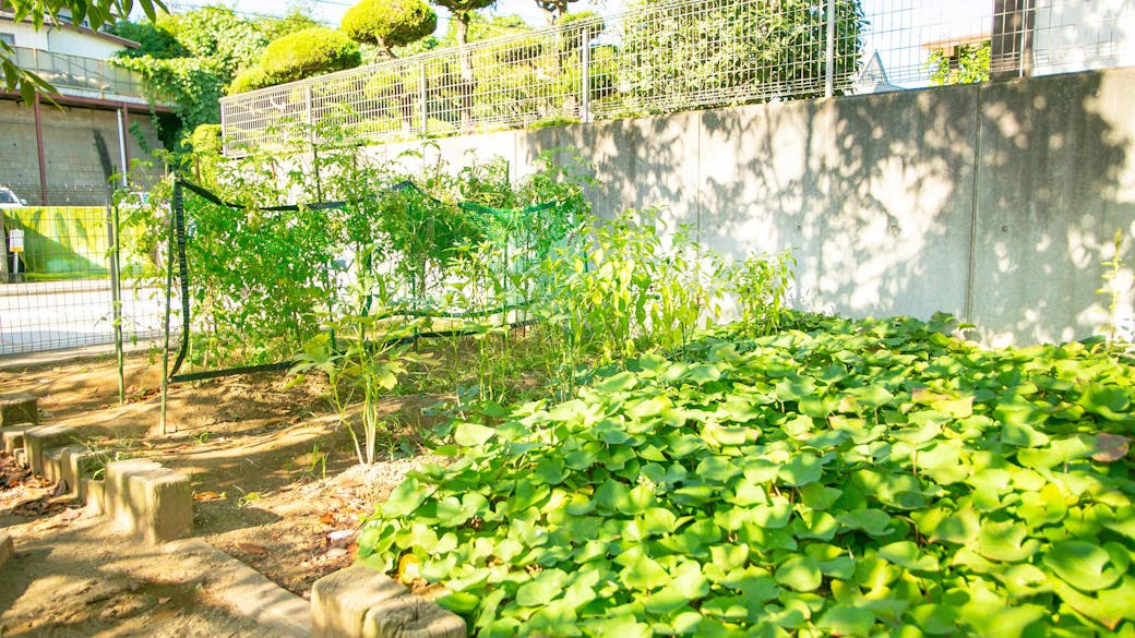 ビオトープや菜園から五感を使って命に対する思いやりを学ぶ