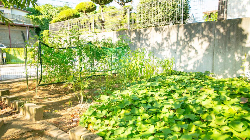 ビオトープや菜園から五感を使って命に対する思いやりを学ぶ