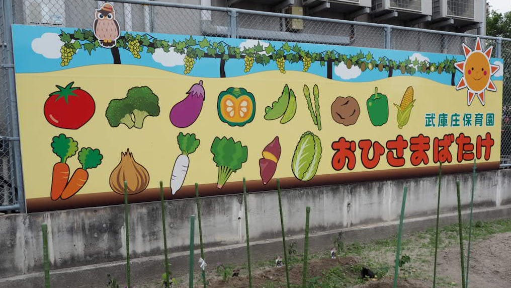 芋掘りや野菜を育てる畑‼