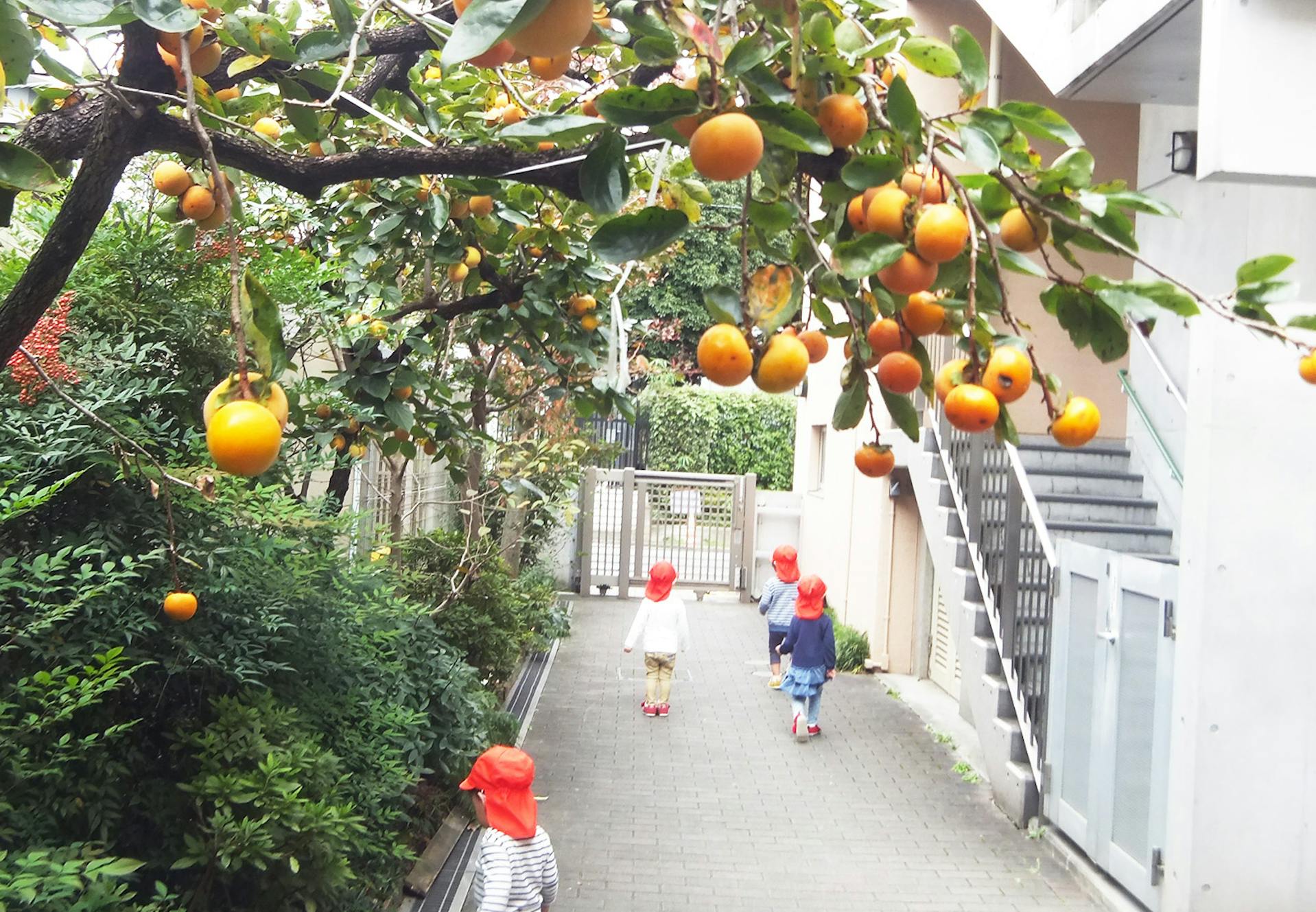 先輩のサポートがあり、定時上がりができる職場です