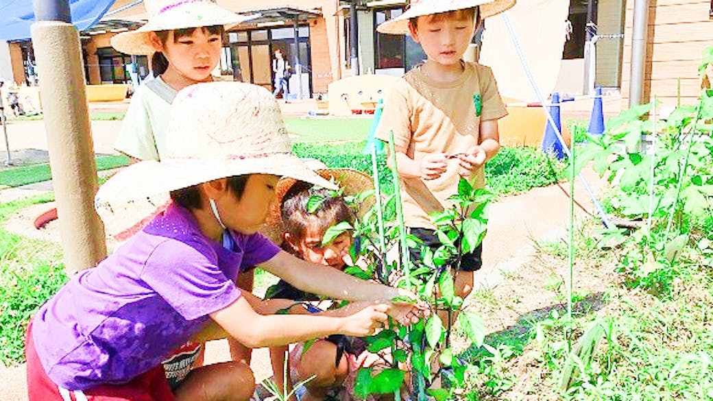 本物の自然園内の畑で、食の大切さを学ぶ