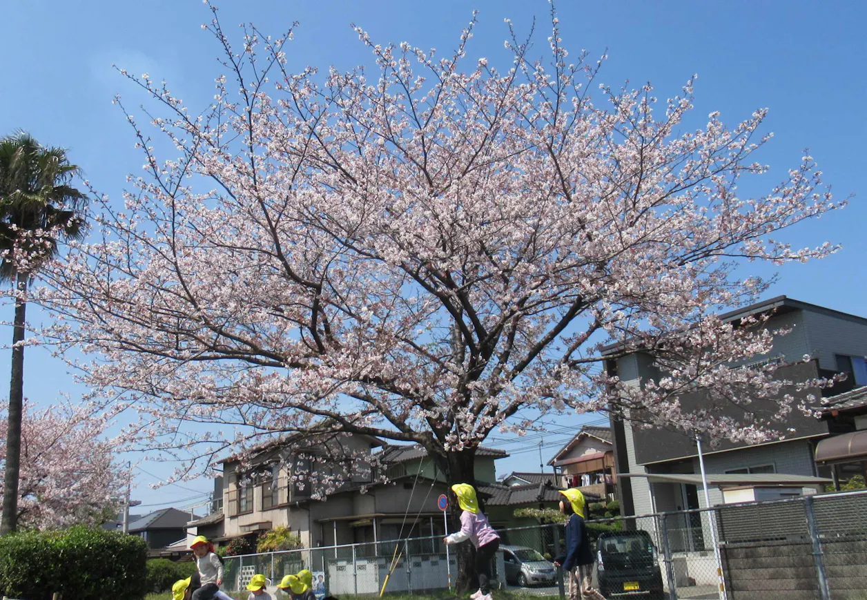 ひおか保育園