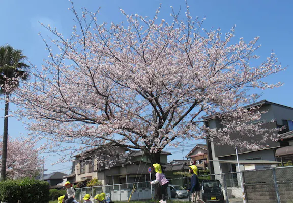 株式会社 ひおか保育園 ひおか保育園