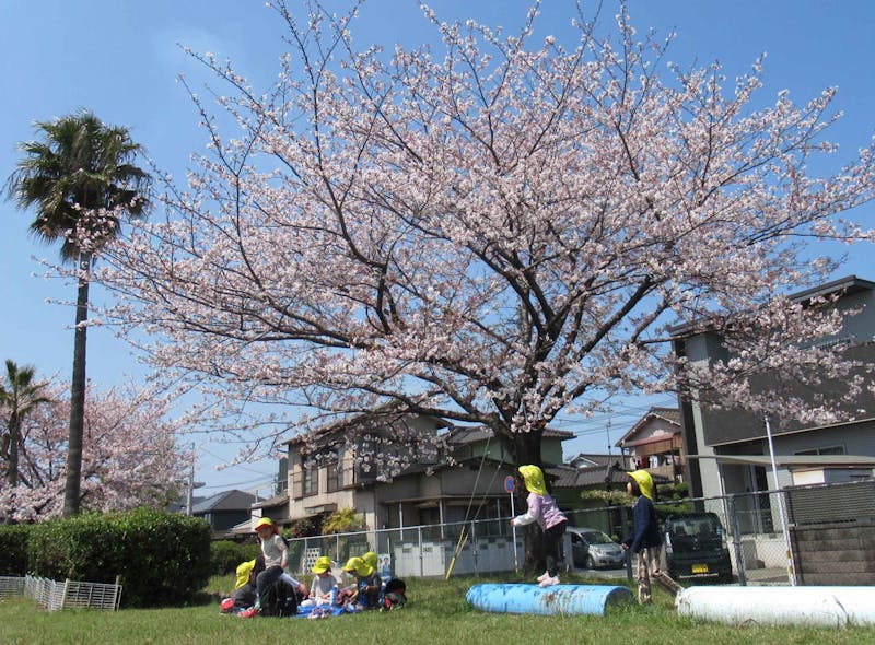 ひおか保育園の保育理念・方針