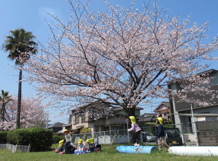ひおか保育園の保育理念・方針