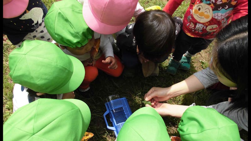 梅丘至誠保育園の保育理念・方針