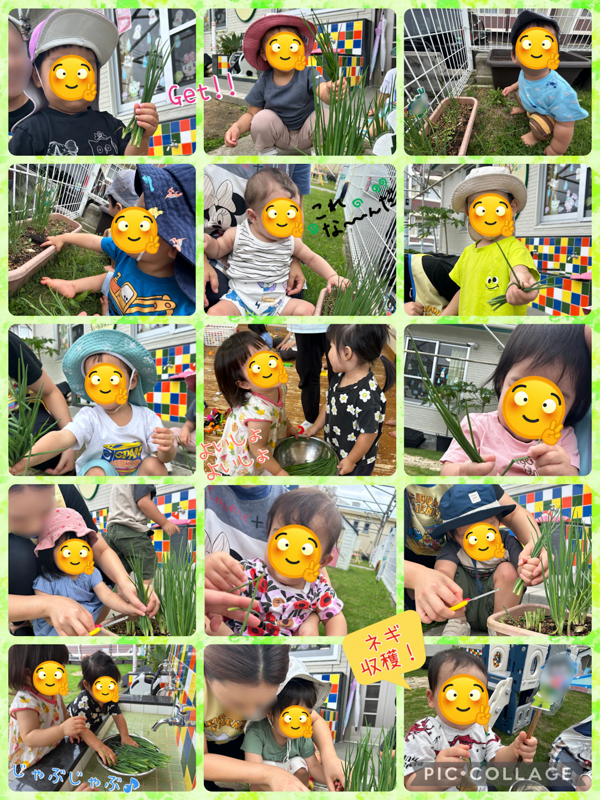 IMG_7988.jpeg