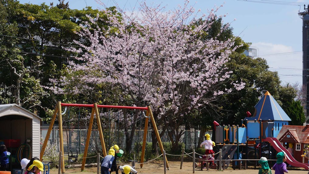 広くてのびのび遊べる園庭です！