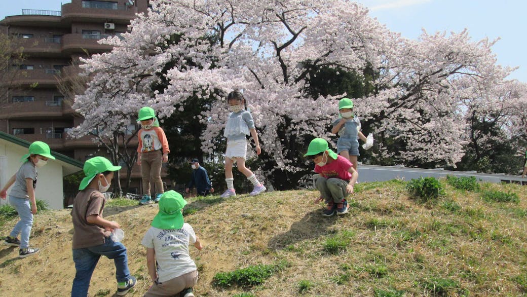 近くの河原で自然探し