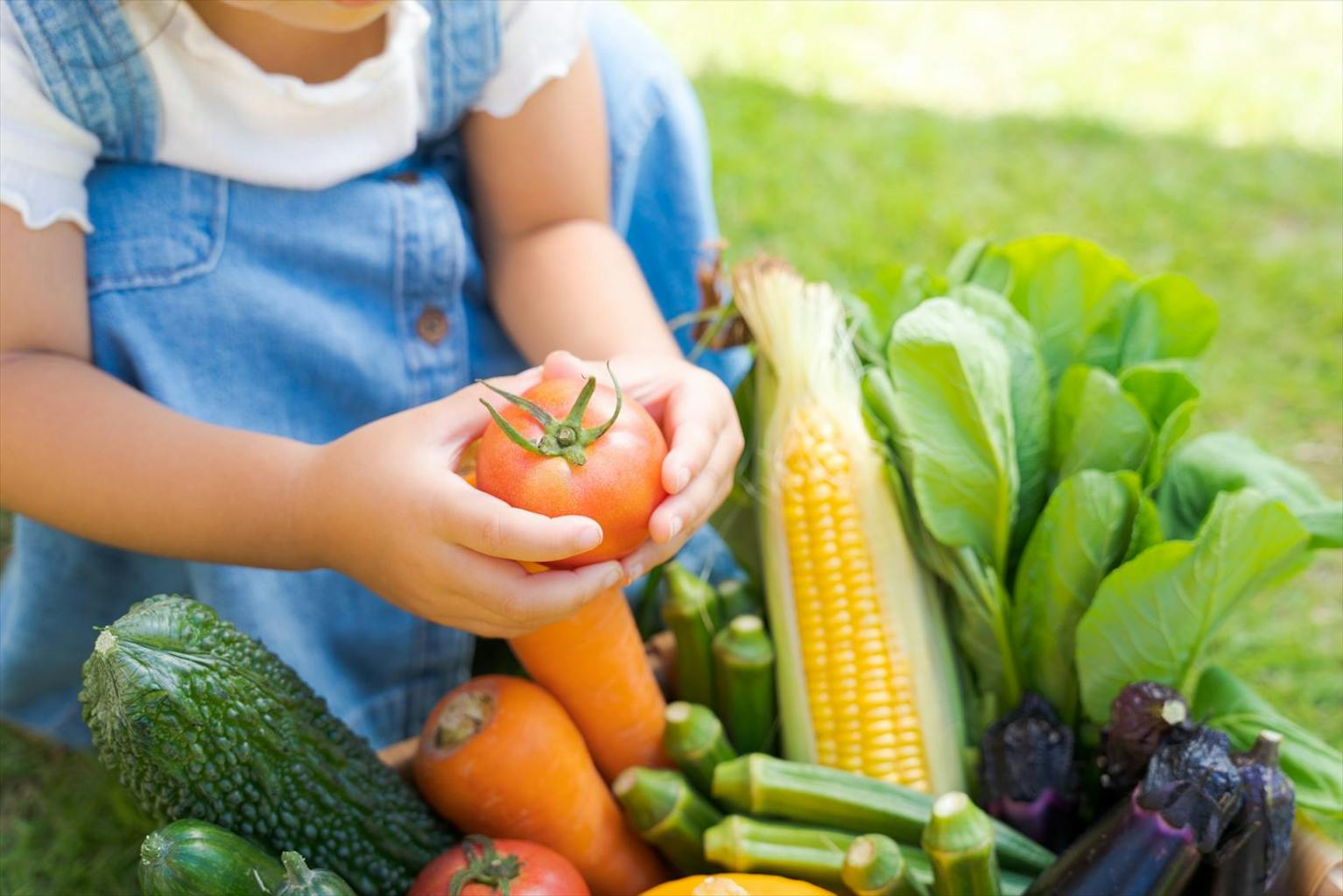 朝の合同保育時の職員を募集/時間固定/平日のみ勤務