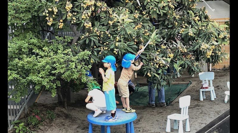 月島聖ルカ保育園の保育理念・方針