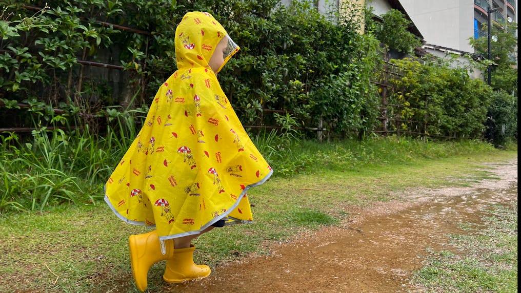 雨の日の仁和公園