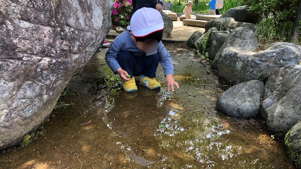 自然豊かな桜井公園