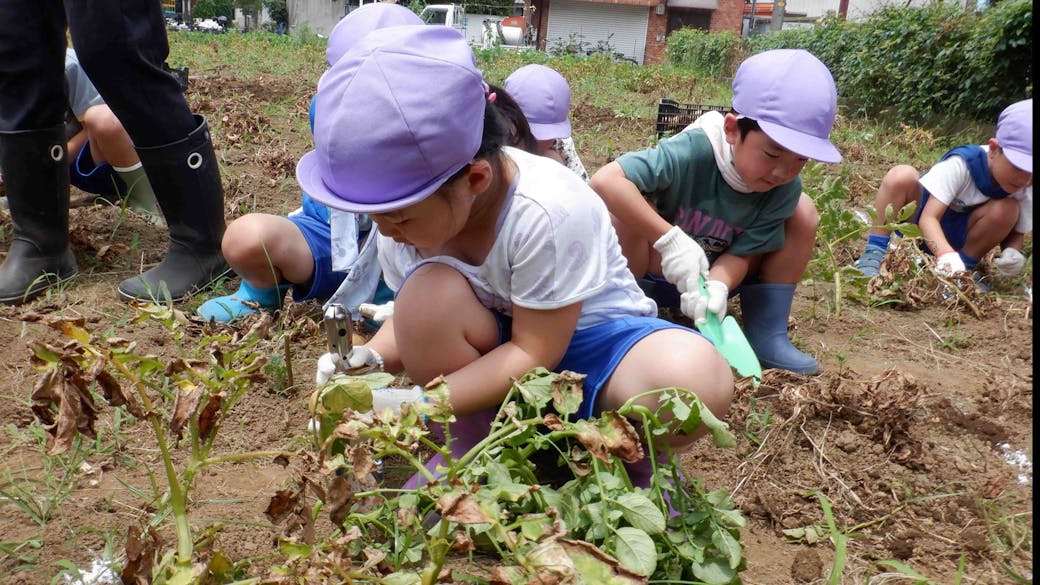 園内の畑で、食の大切さを学ぶ