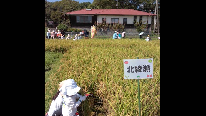 チェリッシュ北綾瀬の保育理念・方針