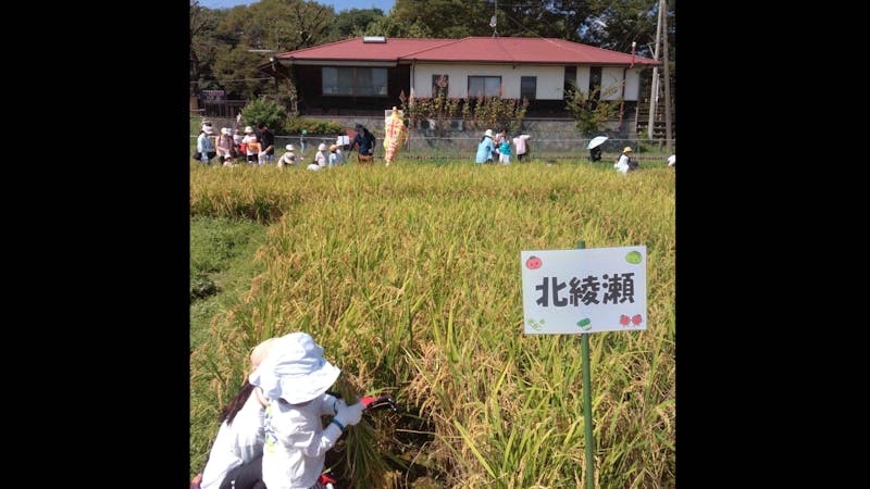 チェリッシュ北綾瀬の保育理念・方針