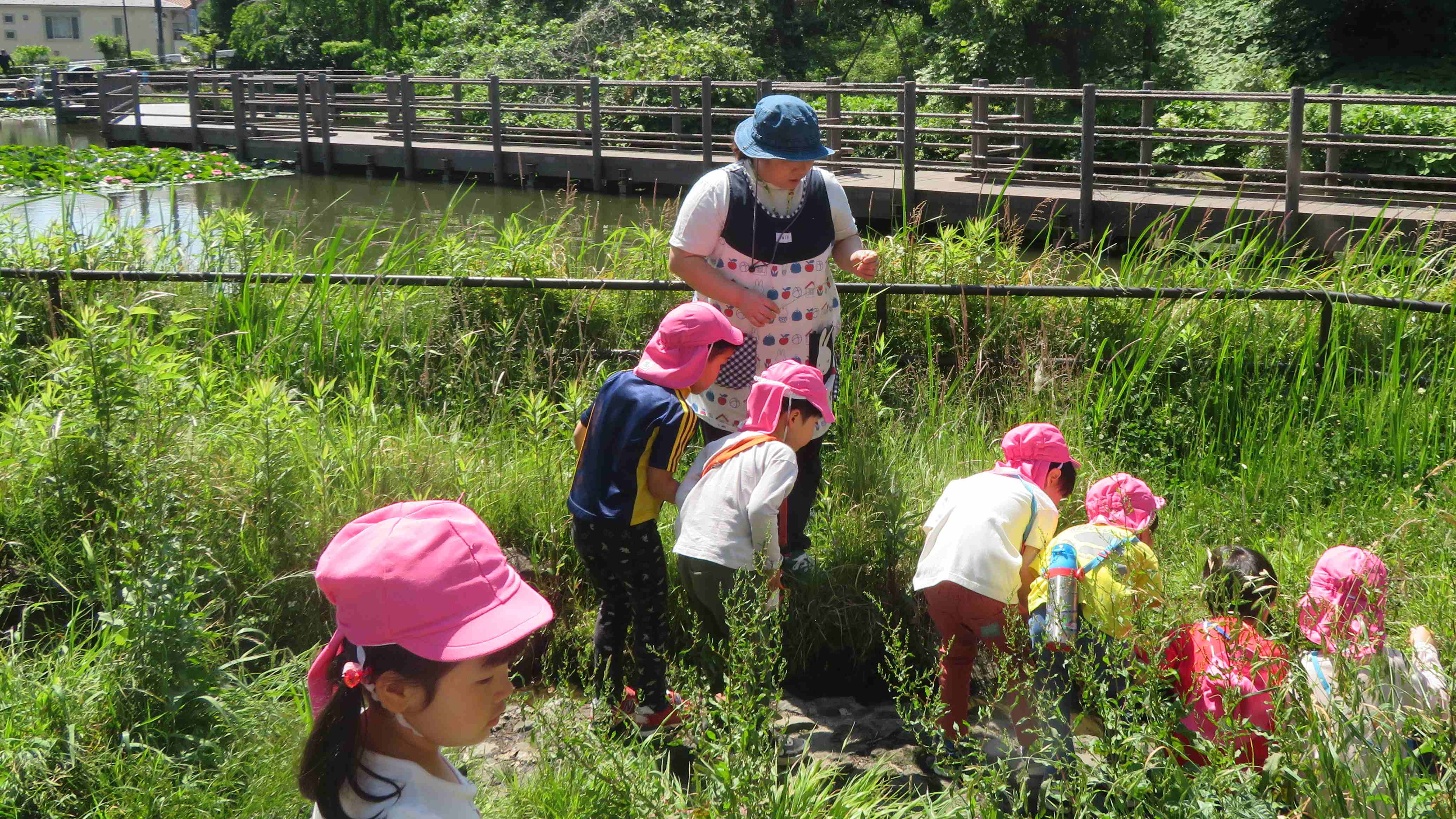 公式】白楽あいいく保育園(見学可) | 横浜市神奈川区 | 認可保育園