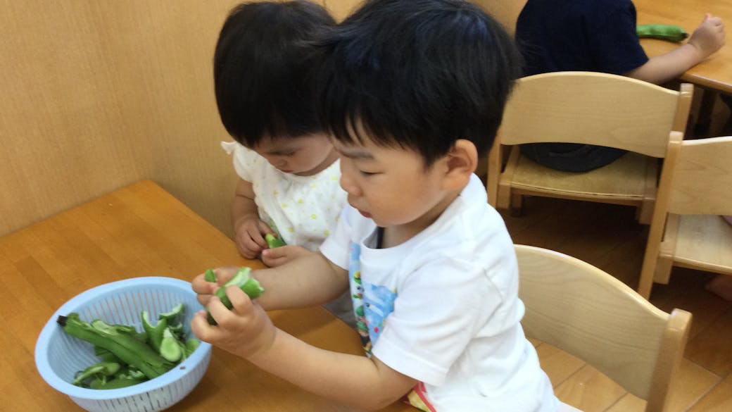 食育　そら豆の皮むき