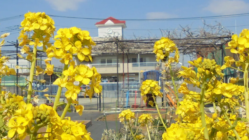 社会福祉法人湘北福祉会 あゆのこ保育園の施設イメージ