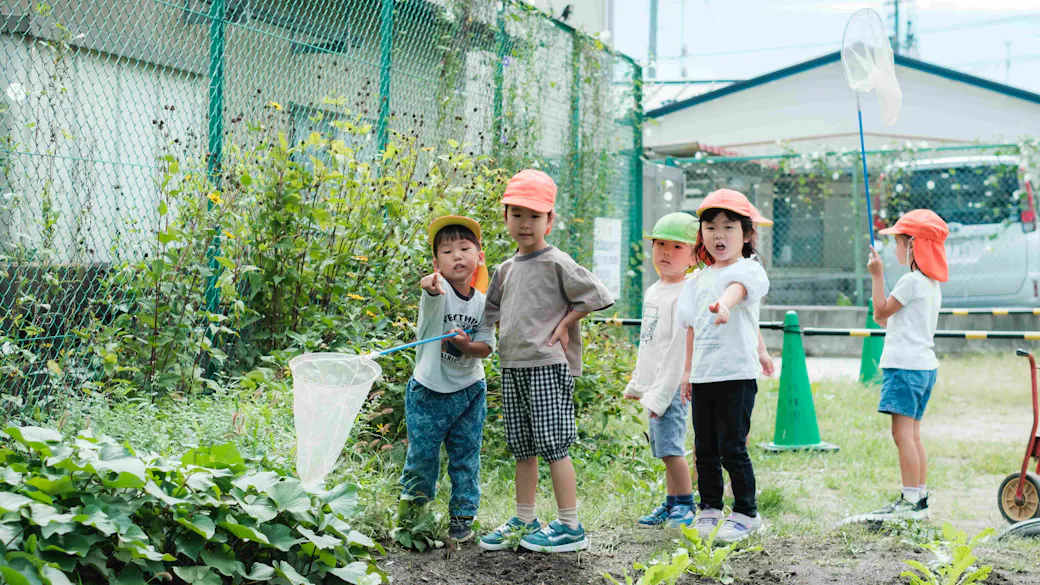 園庭の畑で、季節の野菜を育てています