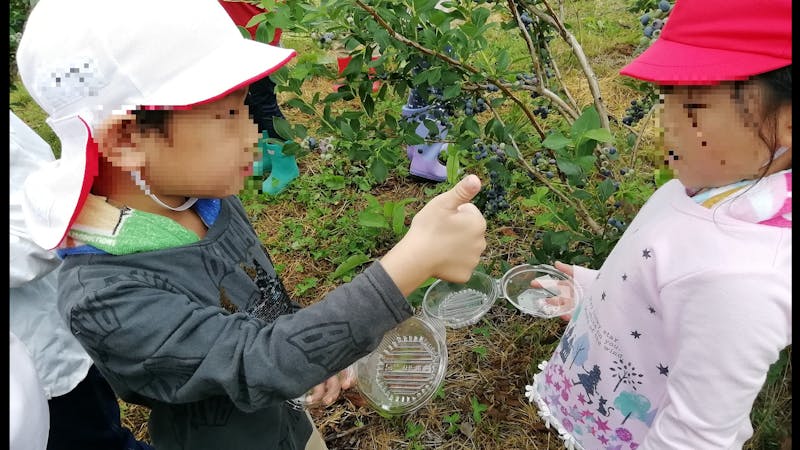 認定こども園ひがし幼稚園の保育理念・方針