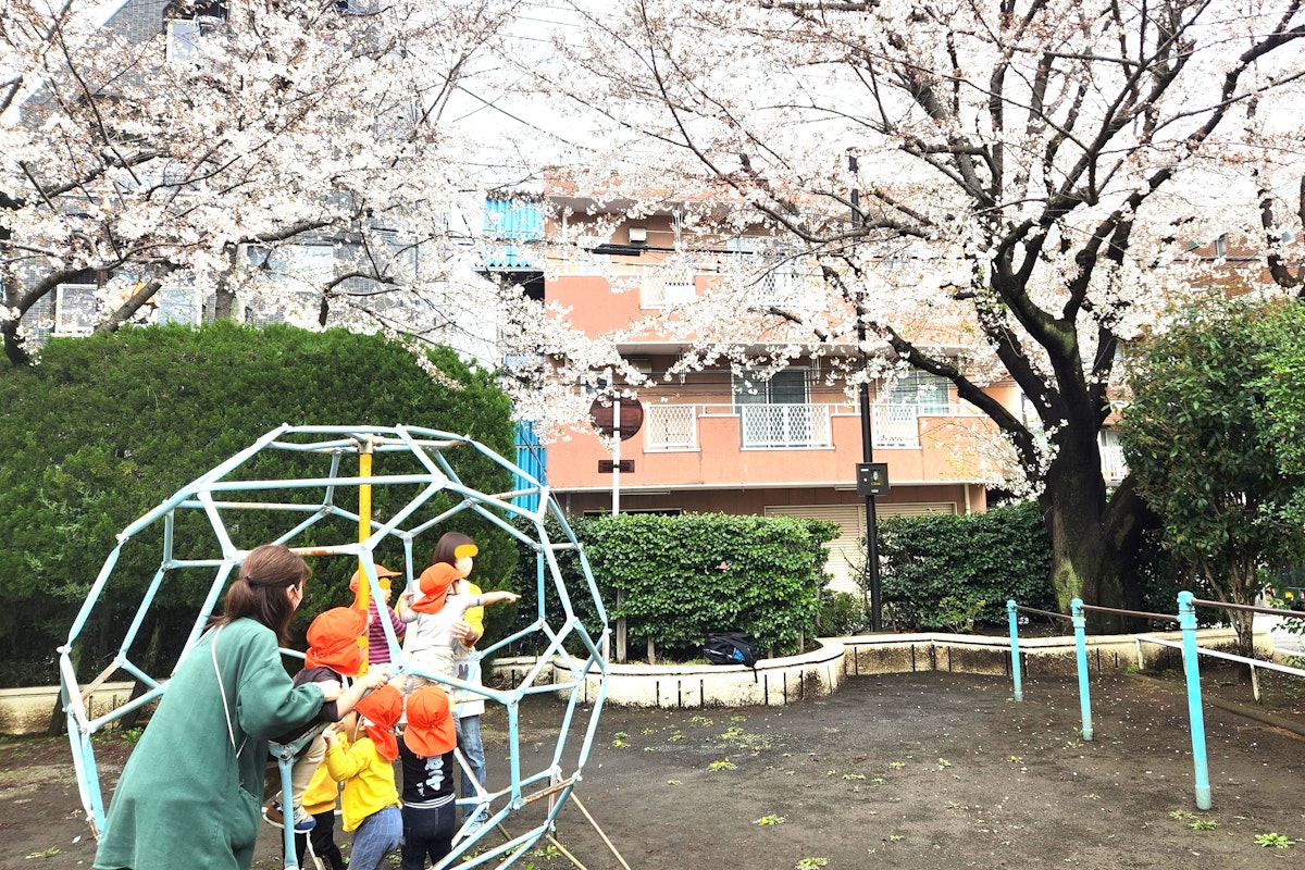 R6.4.4hanami.jpg