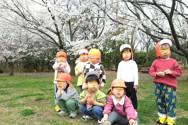 サクラ満開!最後のおしゃら保育園の登園まで、あと一日