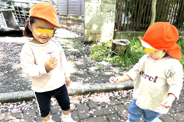 お花きれいだね