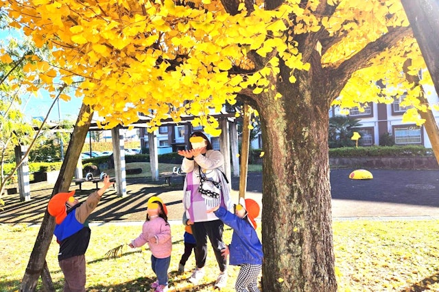 イチョウの下で手を広げる