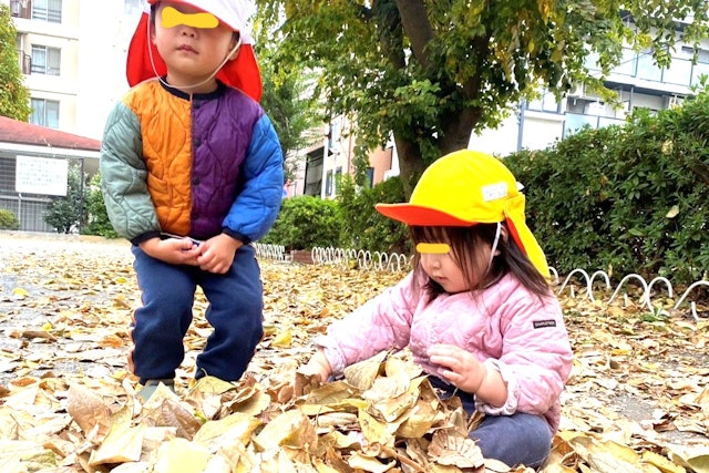 そろそろ冬支度