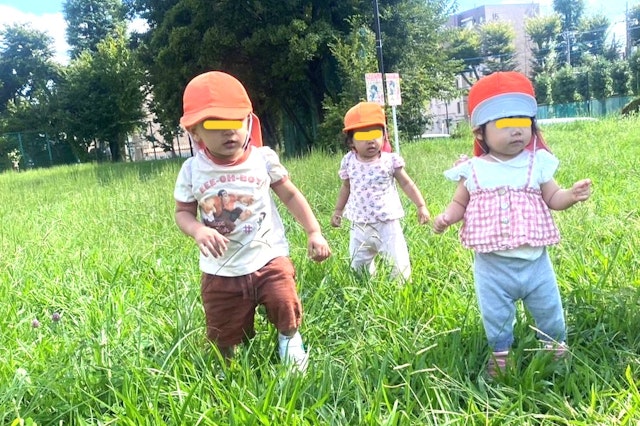 草むらを散歩