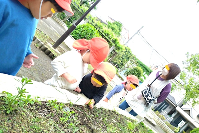 恐竜博士は公園では昆虫博士