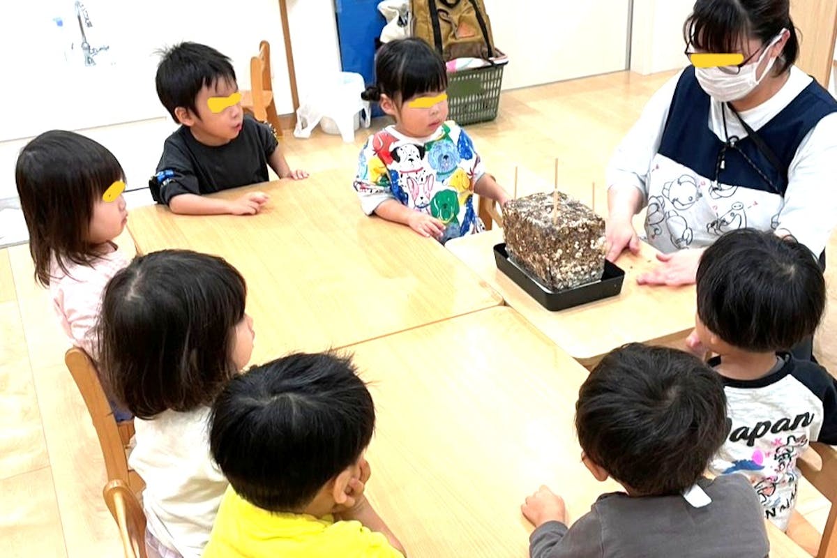 1022kinoko.jpg