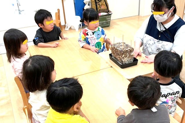 2歳児のおしゃら探検隊は、シイタケ栽培(食育)の開始です!