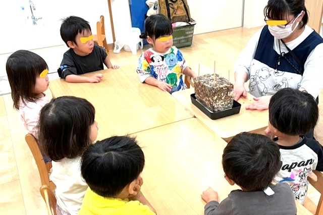 2歳児のおしゃら探検隊は、シイタケ栽培（食育）の開始です！