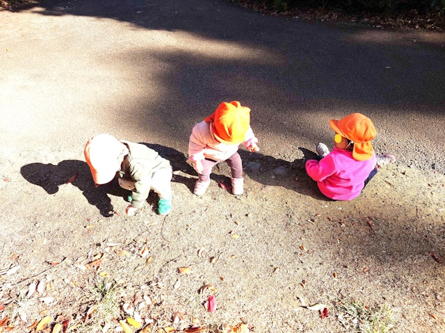 どんぐりいっぱい拾ったよ！