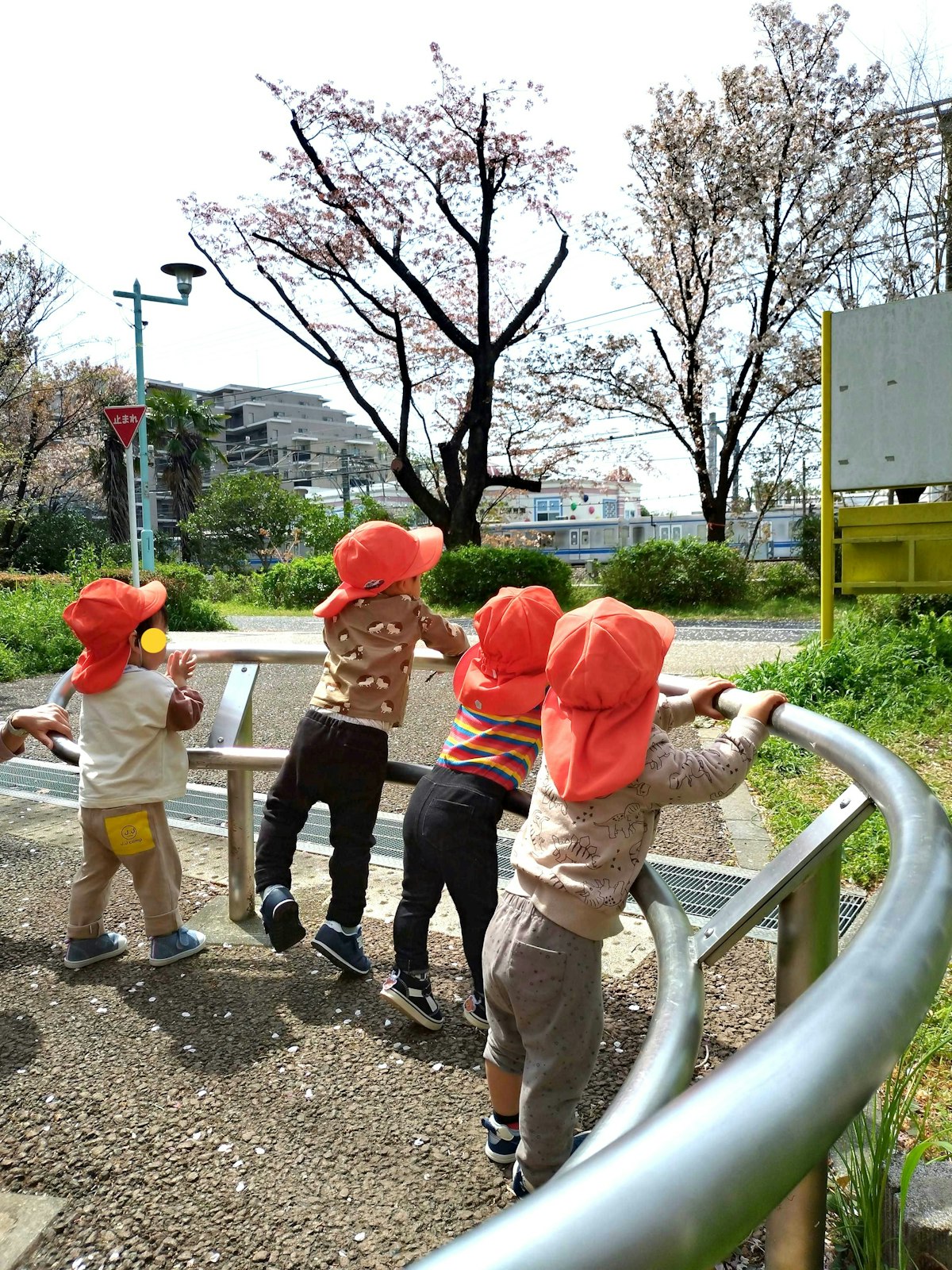R6.4.11sikinomori.jpg