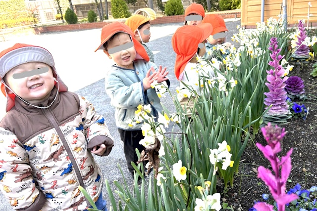 お花が綺麗だね