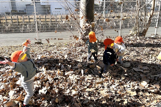 枯れ葉の中で遊びました