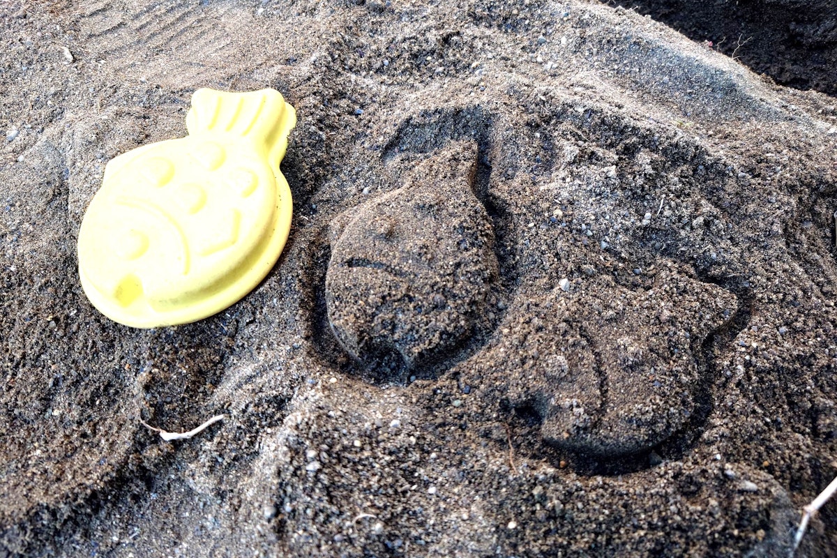 R6.12.10taiyaki.JPG