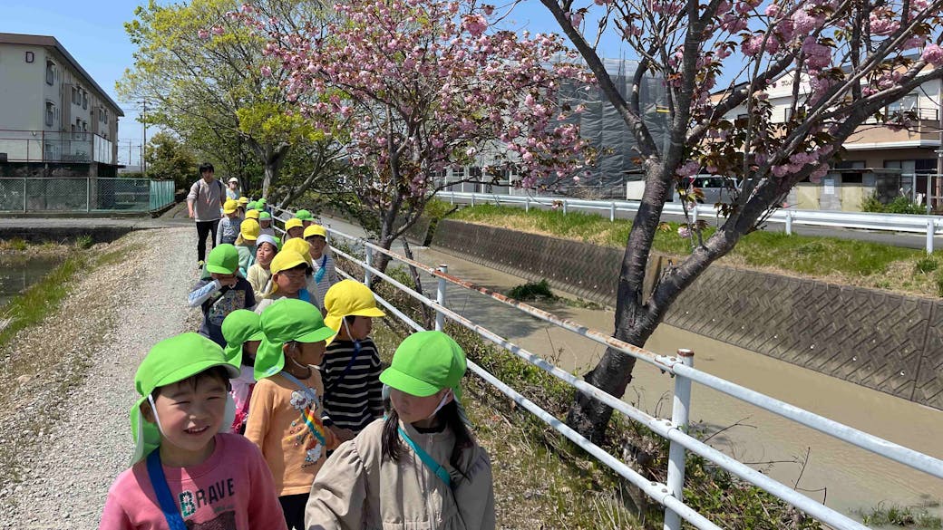 散歩を通して自然や季節に触れています