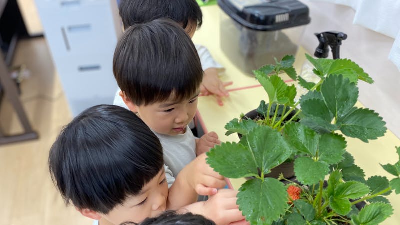 ちびっこ保育園春日の保育理念・方針